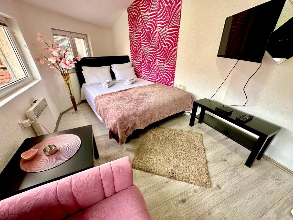 Apartmani Aleksandra U Centru Grada Kragujevac Exteriér fotografie