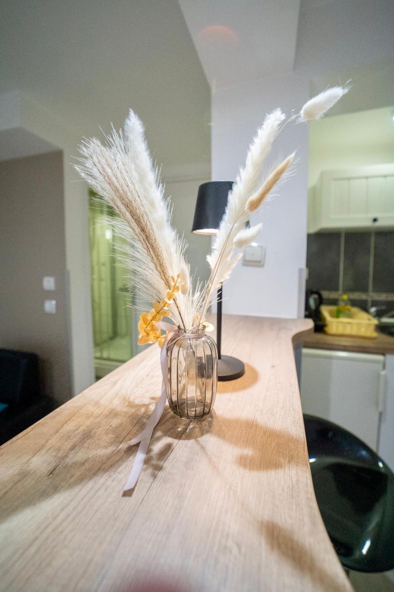 Apartmani Aleksandra U Centru Grada Kragujevac Exteriér fotografie